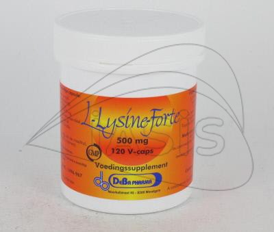 L-LYSINE FORTE 500 mg 120 caps (voedingssupplement)