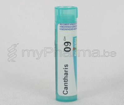 CANTHARIS                         9CH GR 4G BOIRON (homeopatisch geneesmiddel)